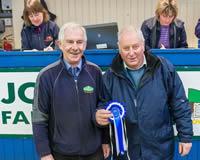 Champion Sheep (2)